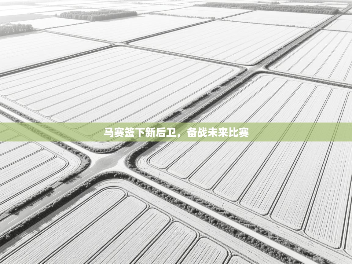 马赛签下新后卫，备战未来比赛  第2张