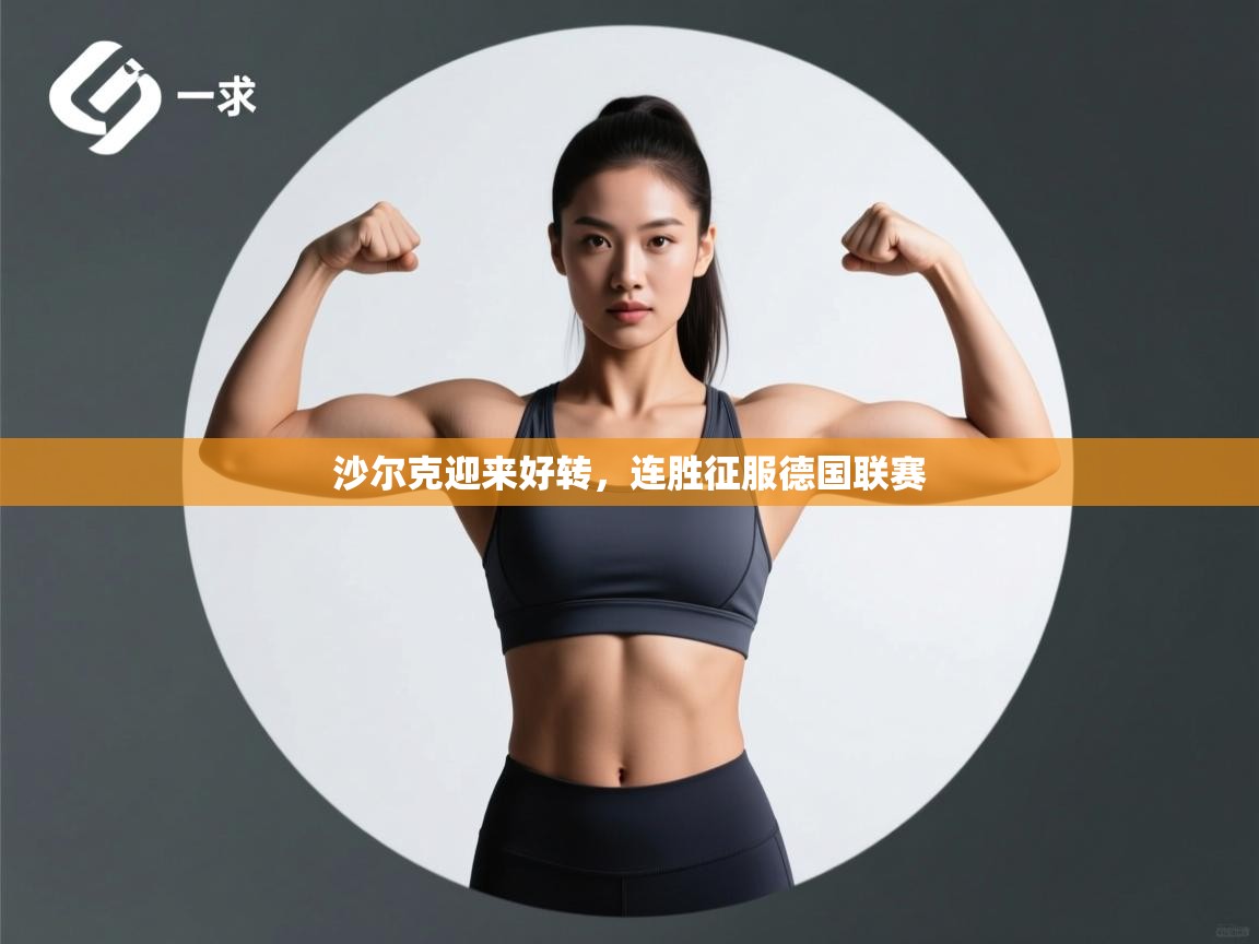 沙尔克迎来好转，连胜征服德国联赛  第2张